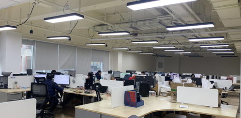 成都高新区以“实”为核，信息技术咨询服务赋能小微企业成长