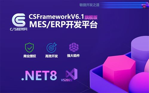 C/S软件快速开发框架 基于WinForm与.NET 8的EF Core实践